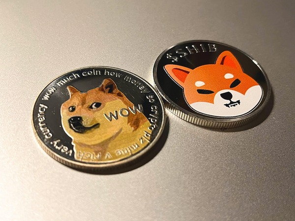 Dogecoin coin close-up representing DOGE conversion