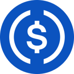 USD Coin (USDC) cryptocurrency logo
